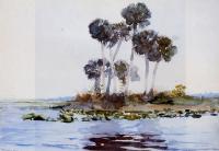 Homer, Winslow - St. John's River, Florida